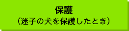 保護（迷子の犬を保護したとき）