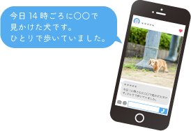 今日14時ごろに〇〇で見かけた犬です。ひとりで歩いていました