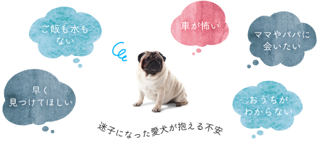 ご飯も水もない車が怖いママやパパに会いたい早く 見つけてほしい迷子になった愛犬が抱える不安おうちがわからない