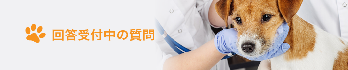 解決済みの質問