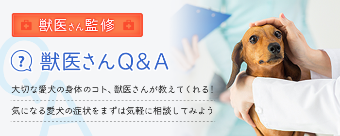 獣医さんQ＆A